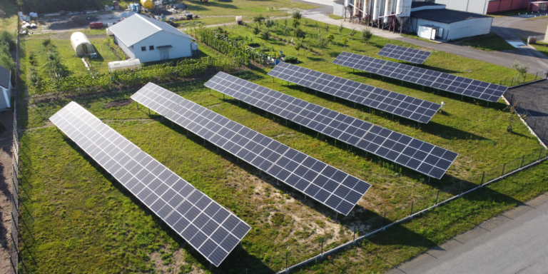 fotowoltaika drobiarstwo